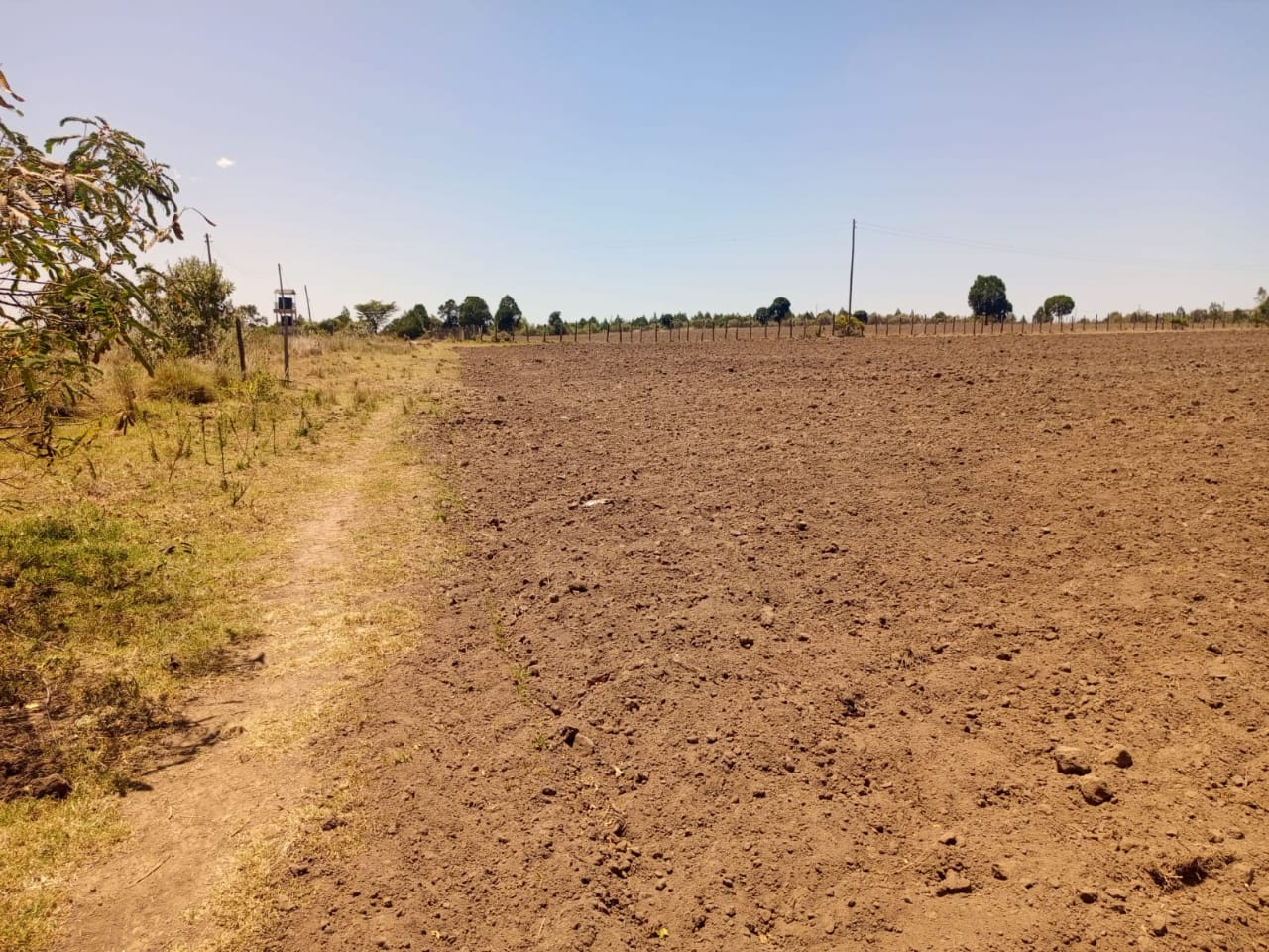 Korea Estate Narok land thumbnail 2